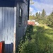 The side yard