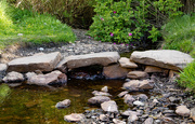 22nd May 2025 - Down to a Trickle