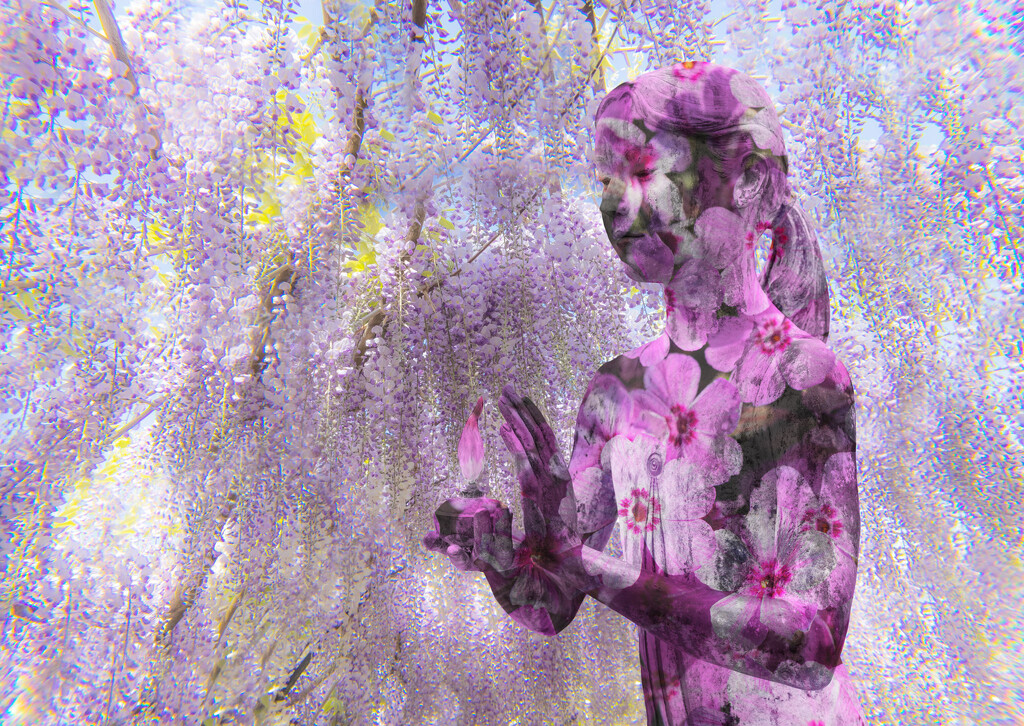 Flora by dulciknit