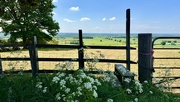 22nd May 2025 - A Country Stile