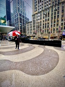 22nd May 2025 - Under the rain