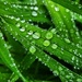 Droplets