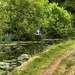 Heron