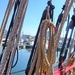 Through the rigging......... by cutekitty