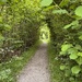 Magical tunnel