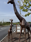 23rd May 2025 - A giraffe and its young