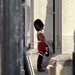 Gate Guard