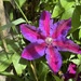 Isn't This Stunning?