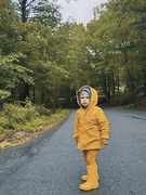 23rd May 2025 - Yellow