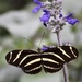 Marlbed White by marylandgirl58