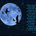 Of Stars and Birds