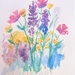 Watercolor  by julie