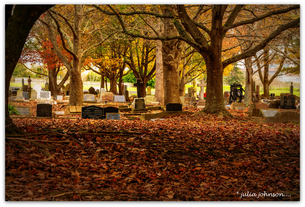 Autumn Cemetery by julzmaioro