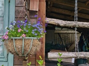 24th May 2025 - Sue's "Shed"