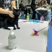 Best in show