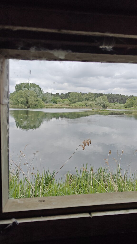 View from Paul's Hide by nickrh14