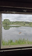 24th May 2025 - View from Paul's Hide