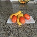 Today’s gift from the garden 