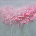 Submerged flower