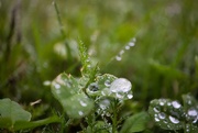 25th May 2025 - Rain