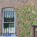 Half Barred Window/Half Young Tree