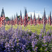 2025 Field of Heroes #2