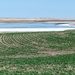 Somewhere on Range Road 231, Alberta