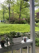 26th May 2025 - Good morning! 