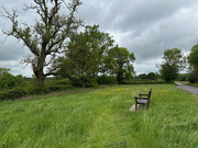 25th May 2025 - Rest-a-While