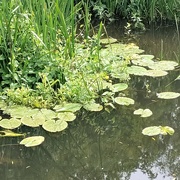 26th May 2025 - IMG_20250526_114533