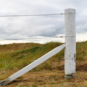 26th May 2025 - White fence