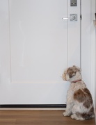 26th May 2025 - I Know She's Home! I Saw the Car Pull into the Garage!