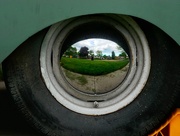 26th May 2025 - The eyes have it