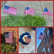 27th May 2025 - Old Glory
