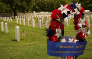 26th May 2025 - Memorial Day 2025