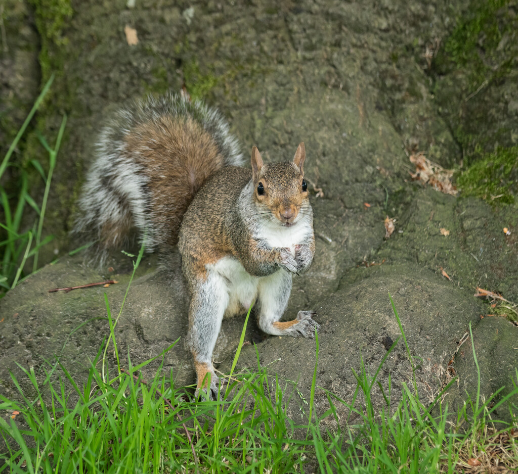 20240624-OM_093061-Edit_365 by krysko