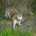 20240624-OM_093061-Edit_365