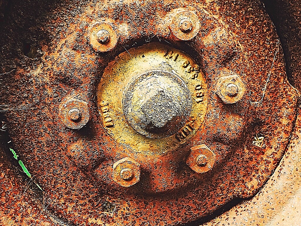 Rounded In Rust by ajisaac
