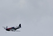 27th May 2025 - P51 Mustang