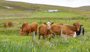 27th May 2025 - Out in the Open