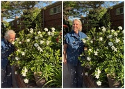 28th May 2025 - Another Bernard Success Story