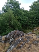 28th May 2025 - Rocky Crag