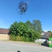Vandalism