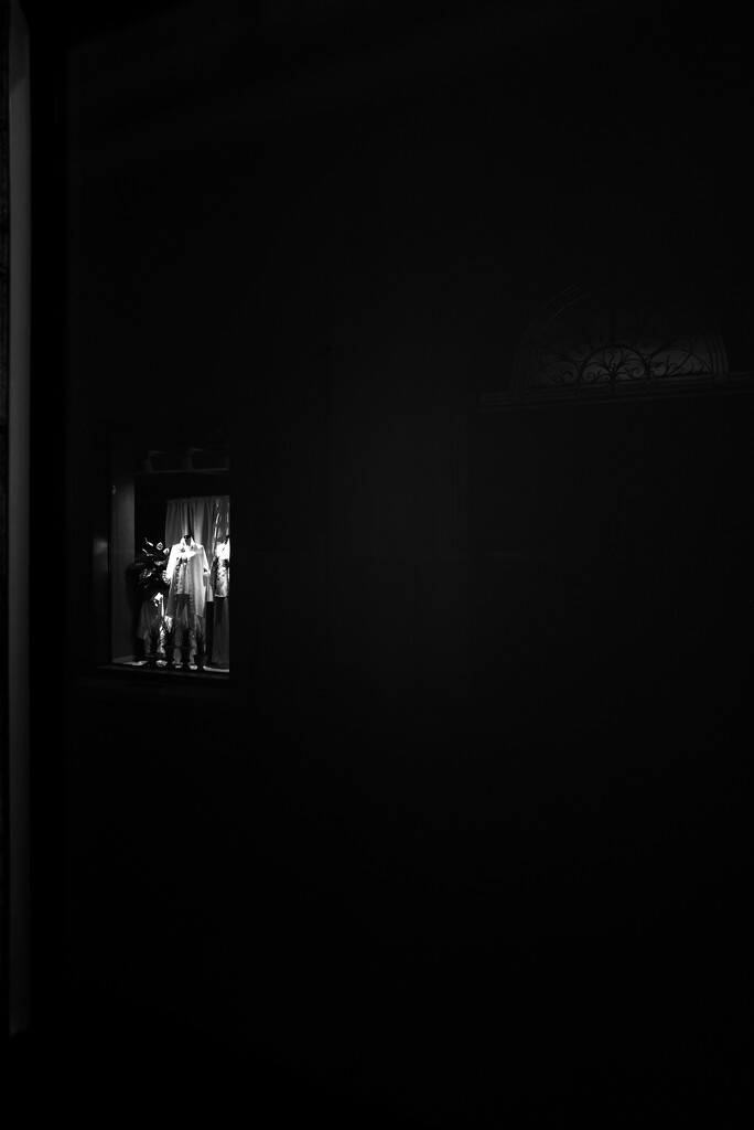 Reflection in the Dark by jyokota