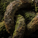 Old Chain