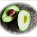 Avocado by beryl