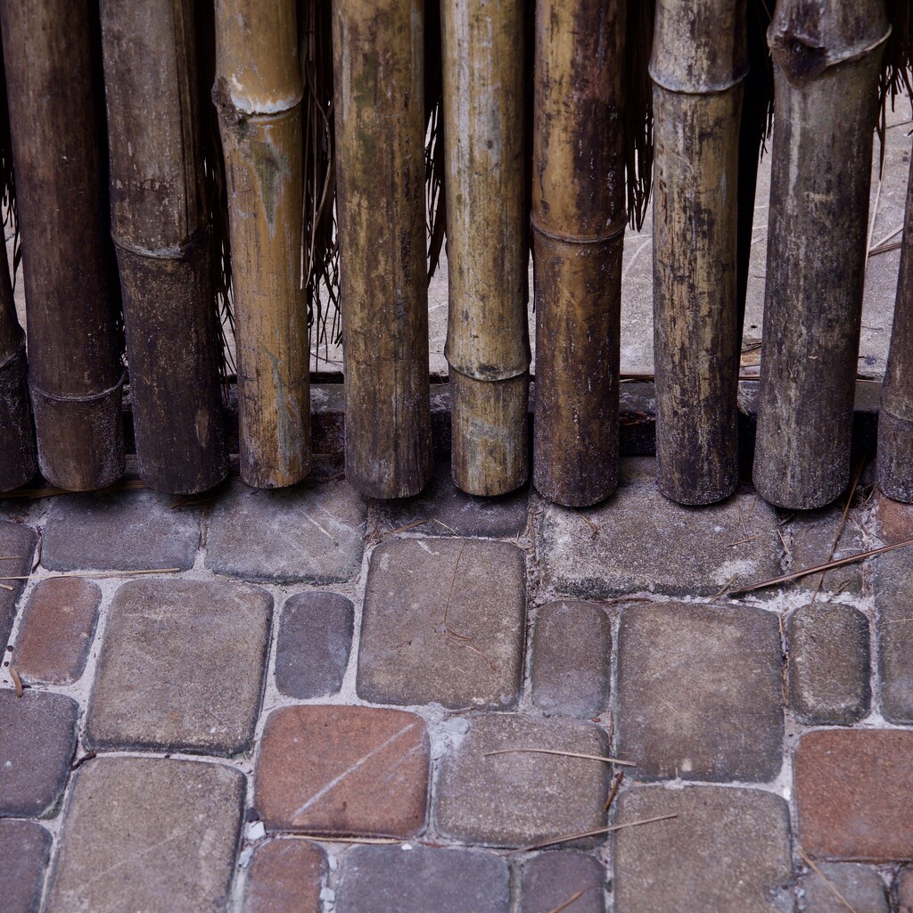 Fence and Paving P5037536 by merrelyn