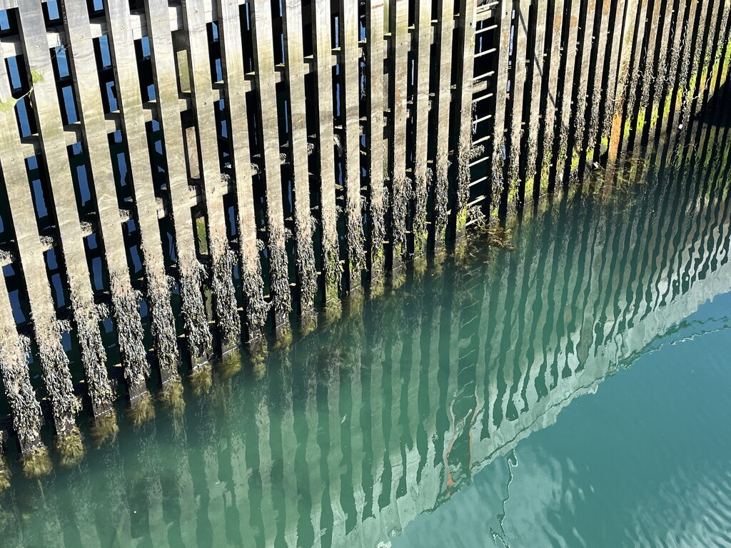 At the harbour by lmsa