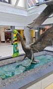 30th May 2025 - Horsham swan