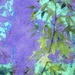NoMowMay in Abstract (30) by rensala